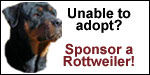 Click here to sponsor a Rottweiler in need!